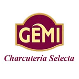 Logotipo Gemi